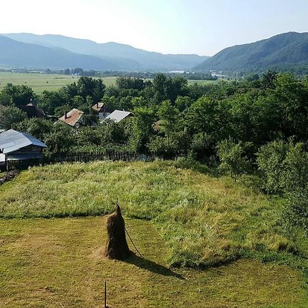 Pensiunea Adeluta Apartament Călimăneşti エクステリア 写真
