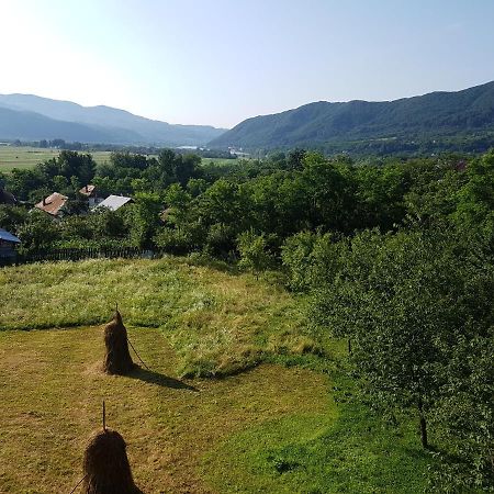 Pensiunea Adeluta Apartament Călimăneşti エクステリア 写真