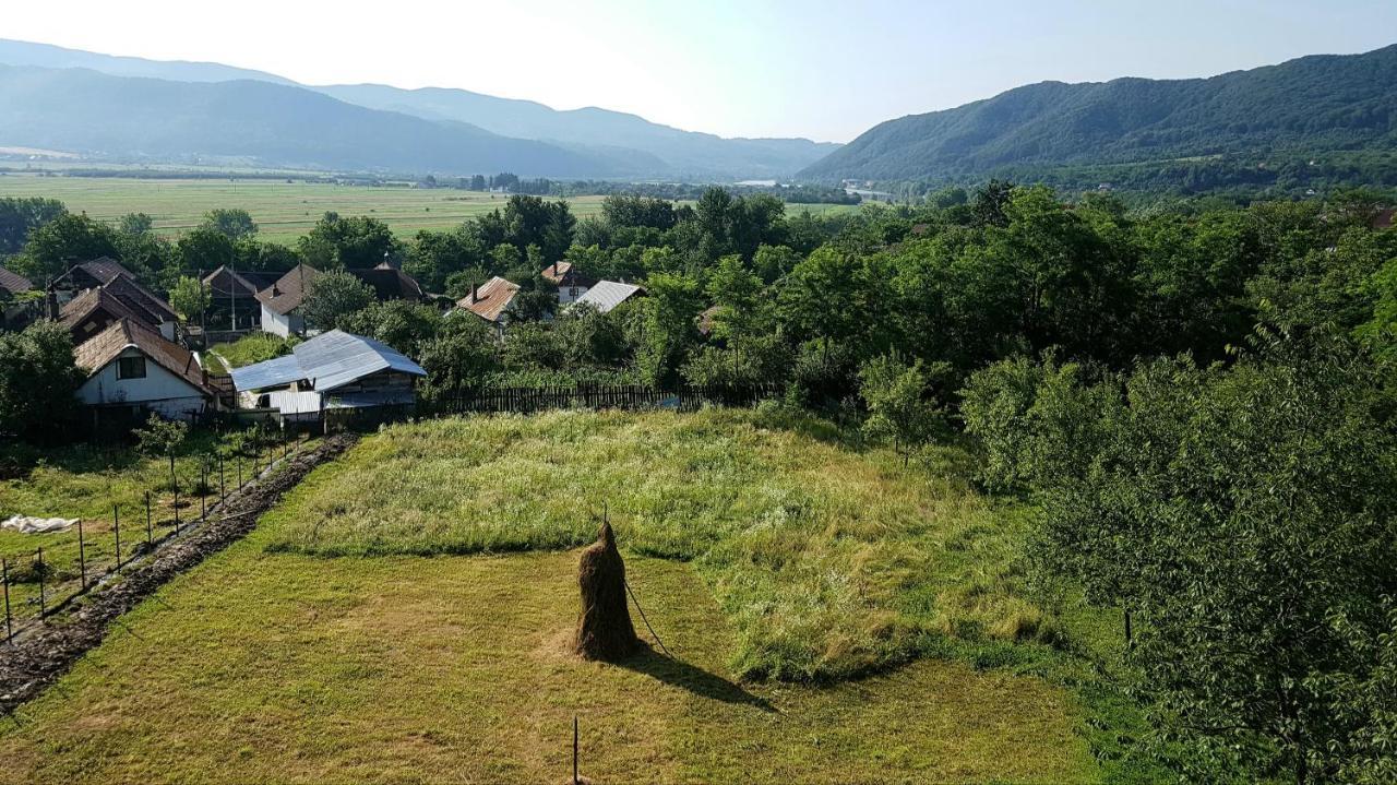 Pensiunea Adeluta Apartament Călimăneşti エクステリア 写真