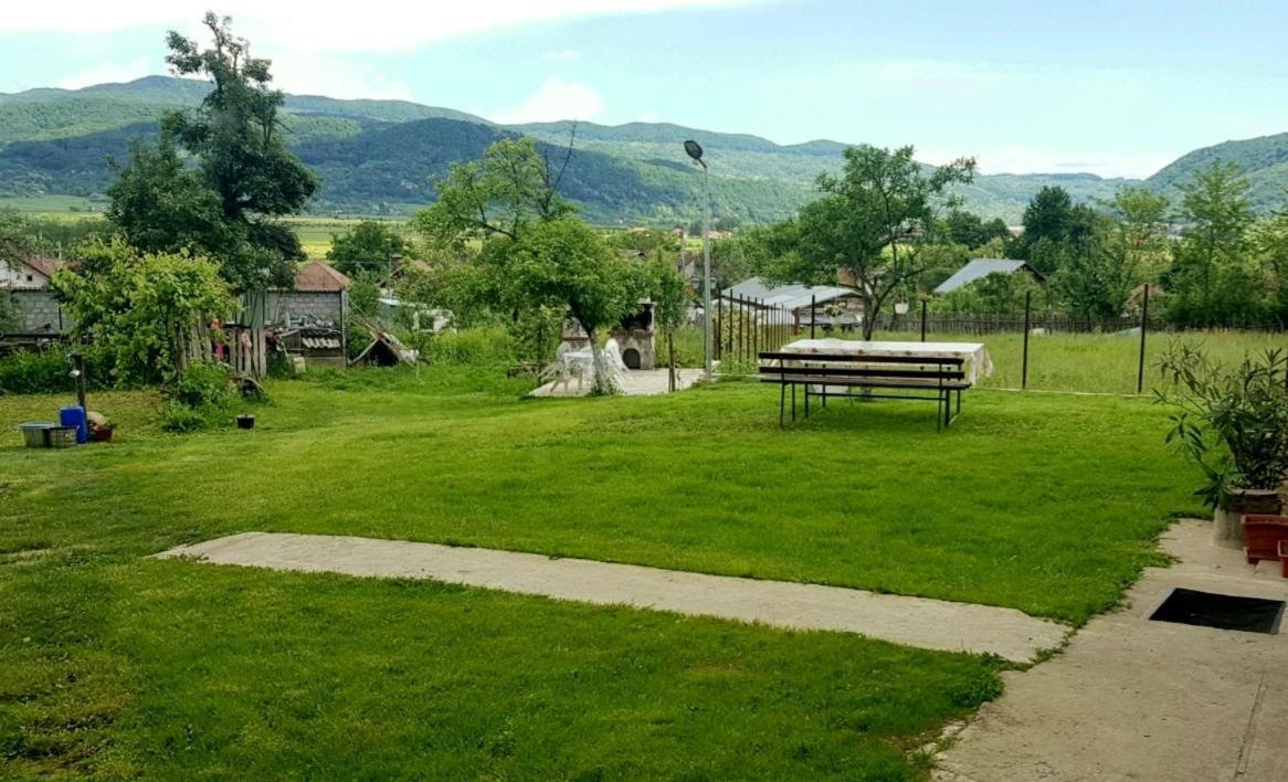 Pensiunea Adeluta Apartament Călimăneşti エクステリア 写真