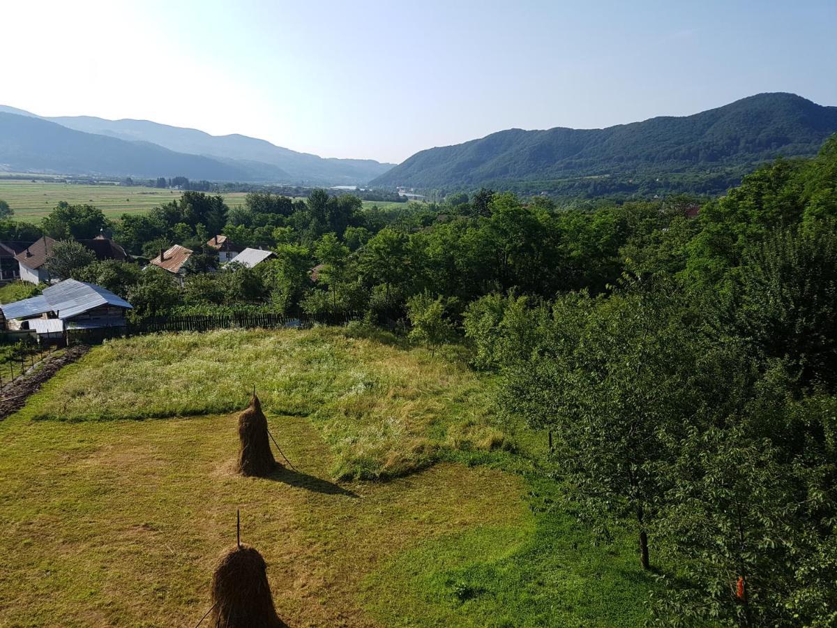 Pensiunea Adeluta Apartament Călimăneşti エクステリア 写真
