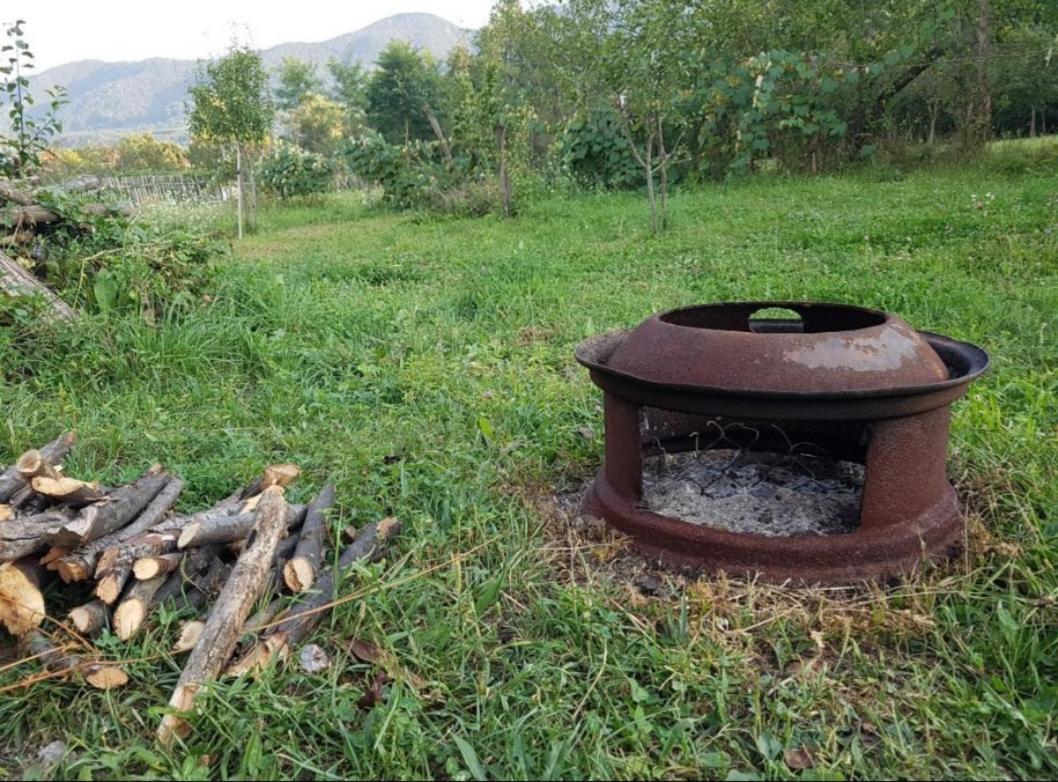 Pensiunea Adeluta Apartament Călimăneşti エクステリア 写真